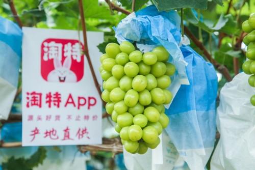 丰收节 从水域到田野的馈赠，800多万款农产品拉近城乡距离