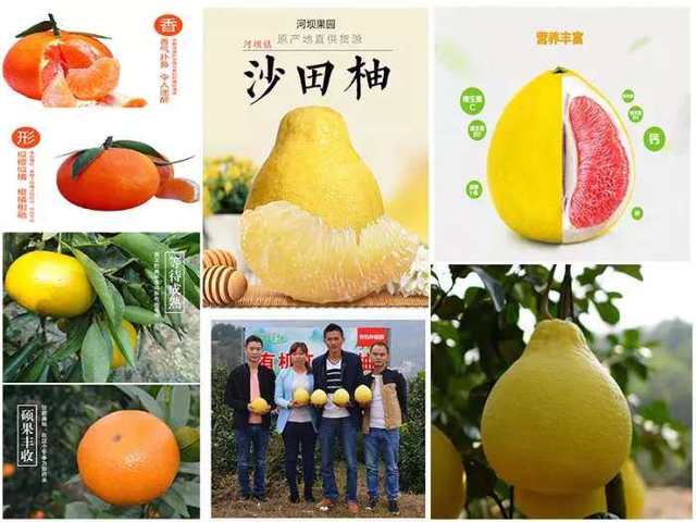 2018石阡县农特产品年货节 背篼备好，广场相约